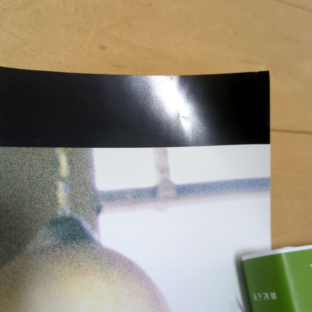 Aimerポスター ■ insane dream ■ レアポスター