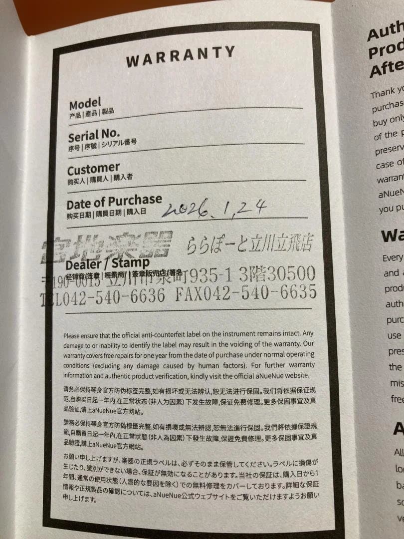 aNueNue aNN-LF23E フルサイズ・センターホールギター(PU付)