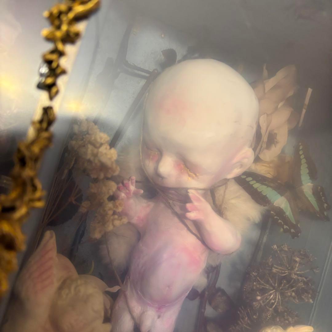 【Special Price】 愛と調和天使箱