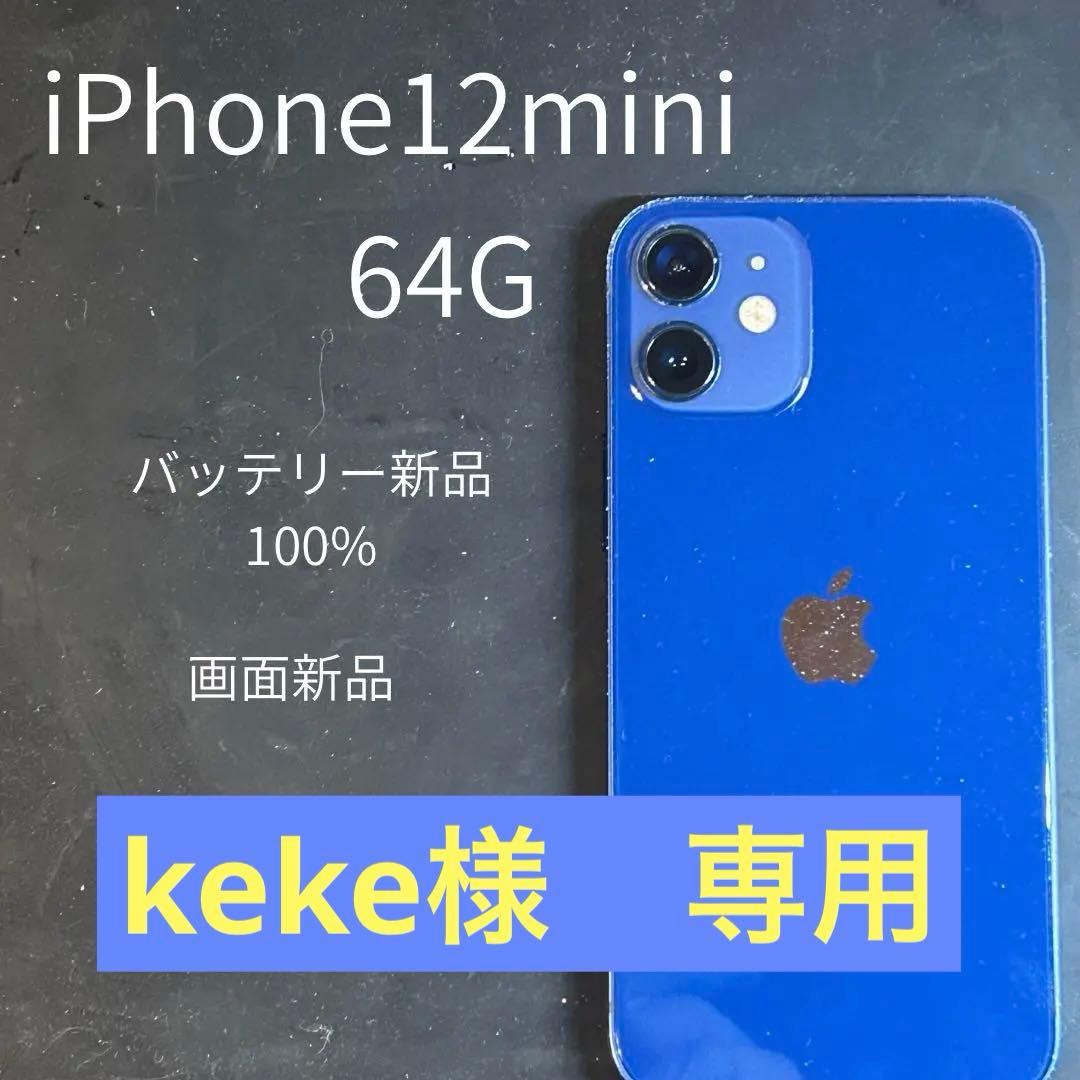 iPhone12mini画面,バッテリー100%