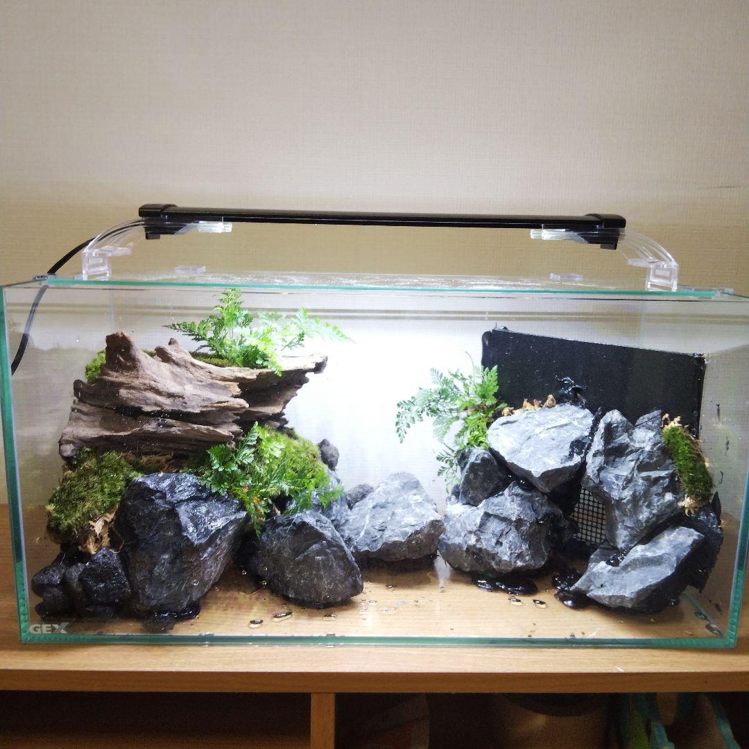 オーダーメイドアクアテラリウム