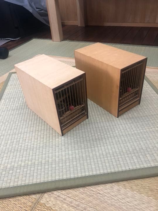 鳥籠、箱セット