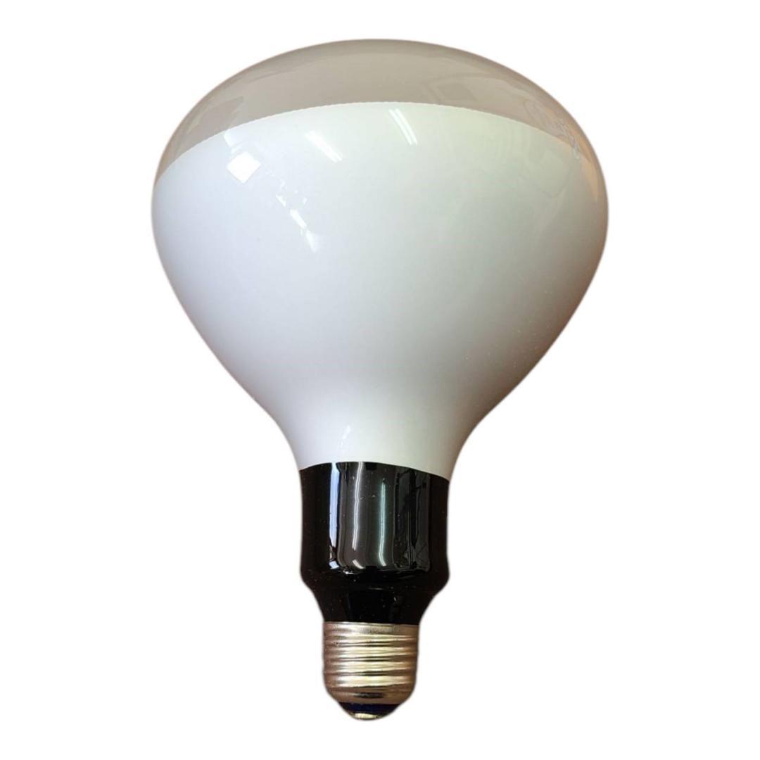 アイランプ フラッド電球 100V 500W 8個セット