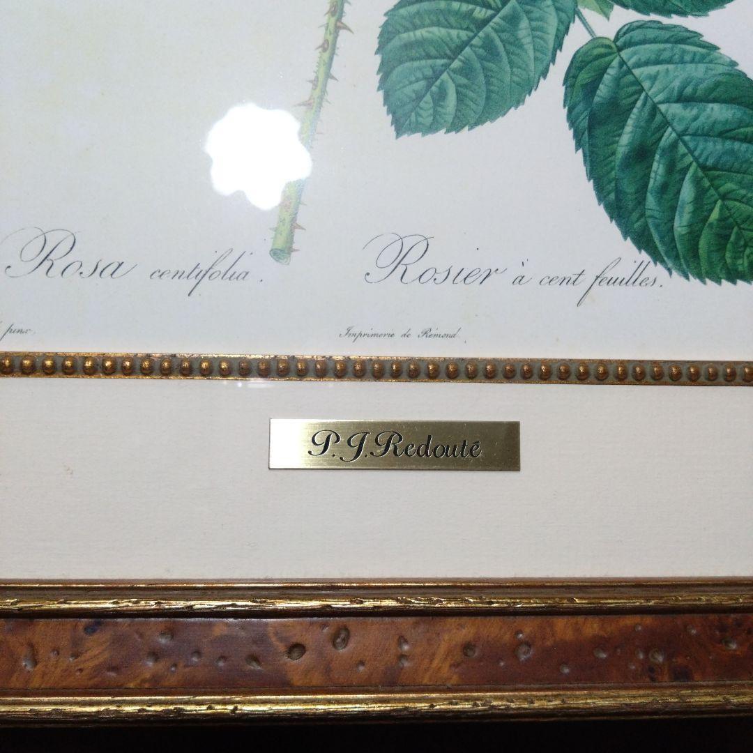 ① ルドゥーテ 絵額 レ ローズ バラ図譜 フォリオ判 銘木調フレーム 額 絵