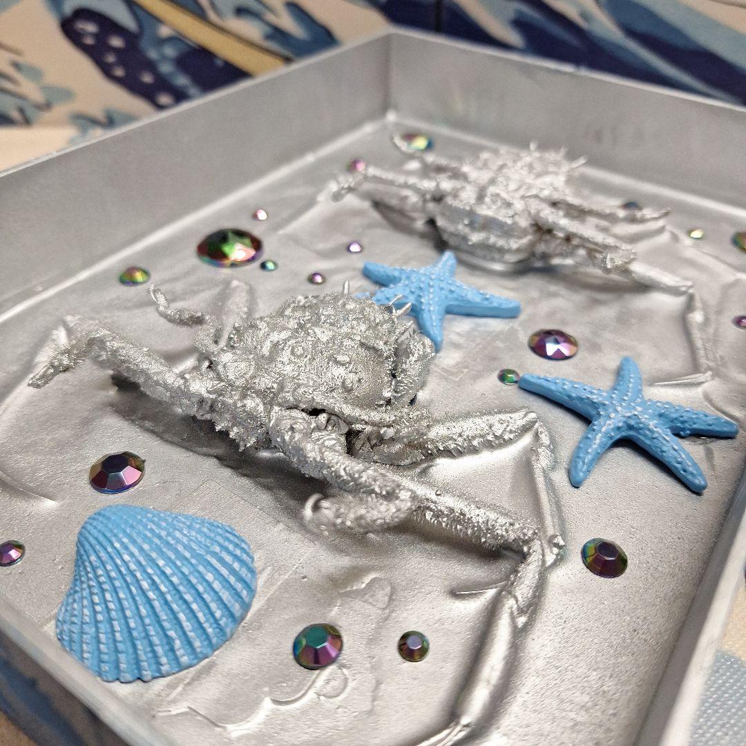 平家怨霊人面蟹稀少レア平家蟹鬼面蟹ペア二点凹凸リアル立体標本飾り置物コレクション