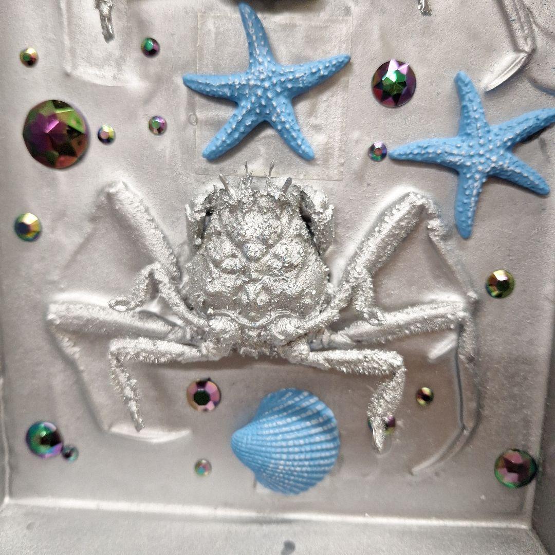 平家怨霊人面蟹稀少レア平家蟹鬼面蟹ペア二点凹凸リアル立体標本飾り置物コレクション