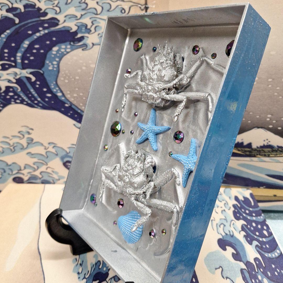 平家怨霊人面蟹稀少レア平家蟹鬼面蟹ペア二点凹凸リアル立体標本飾り置物コレクション