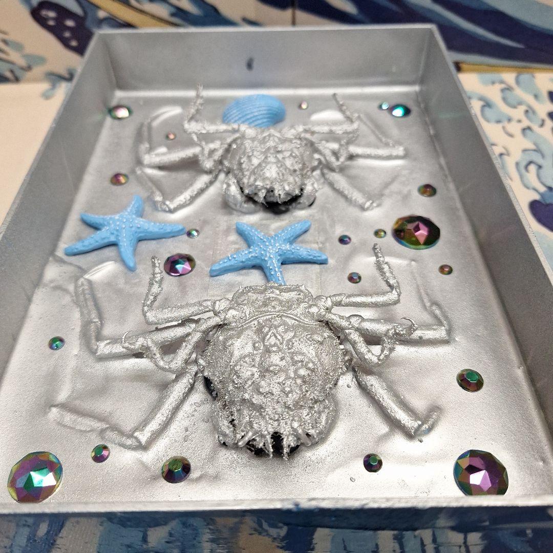 平家怨霊人面蟹稀少レア平家蟹鬼面蟹ペア二点凹凸リアル立体標本飾り置物コレクション