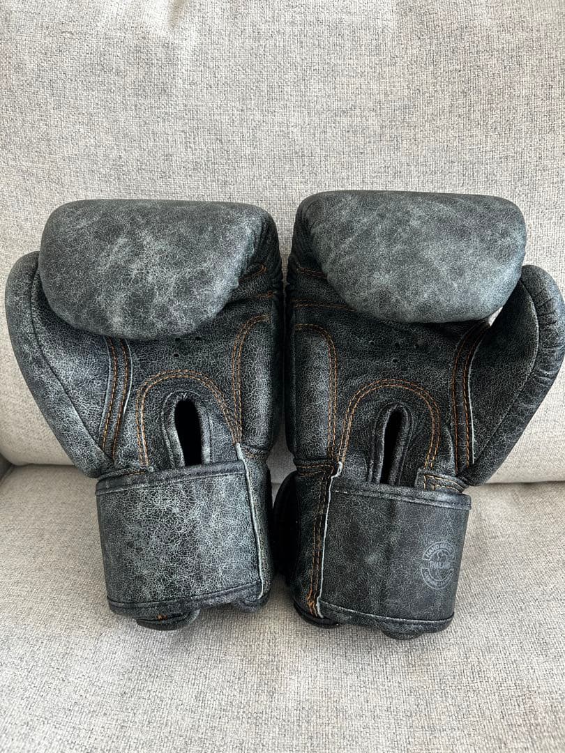 Fairtex フェアテックス グローブ 10 タイ現地正規店購入品