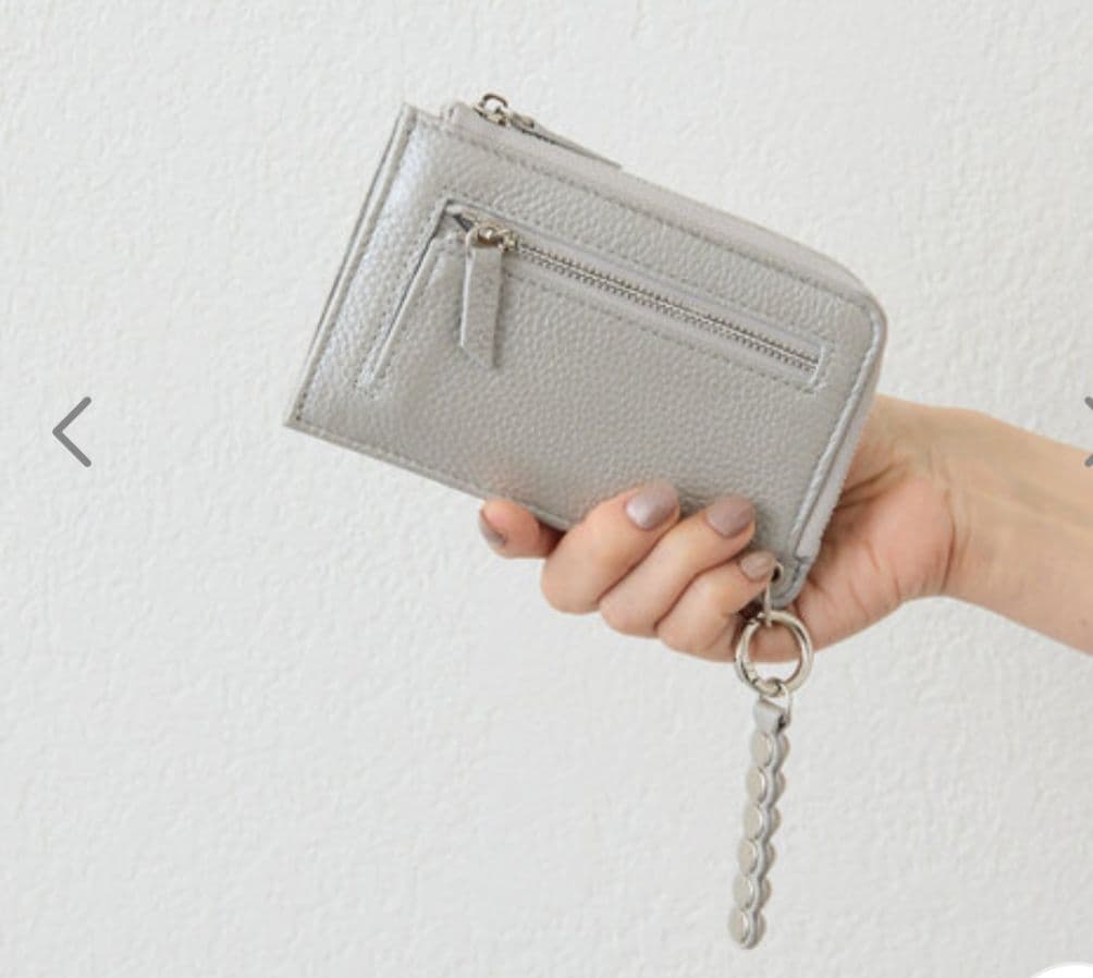 ear PAPILLONNER スタッズフラグメントケース シルバー