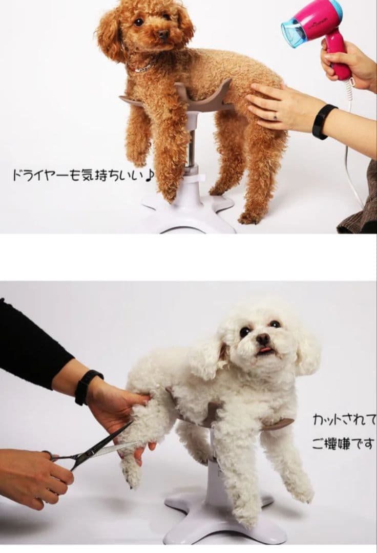 ペット用トリミング椅子