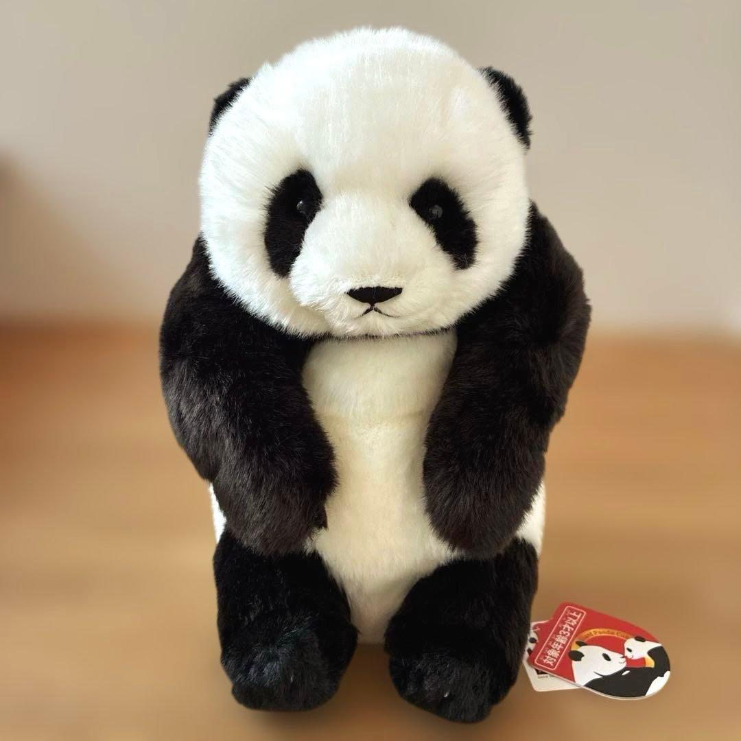 上野動物園　パンダ　ぬいぐるみ　レイレイ　蕾蕾　　ミニ抱っこぬいぐるみ