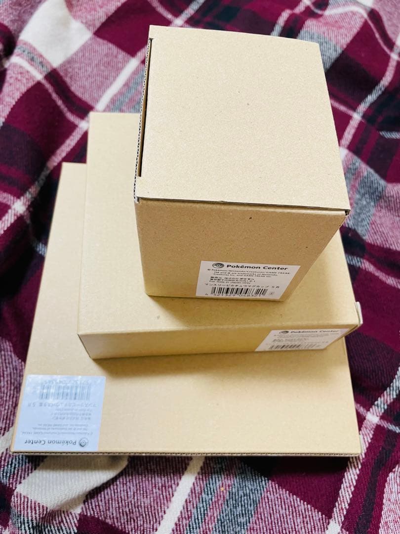 マンスリーピカチュウ 2005年 5月 マグカップ お皿セット