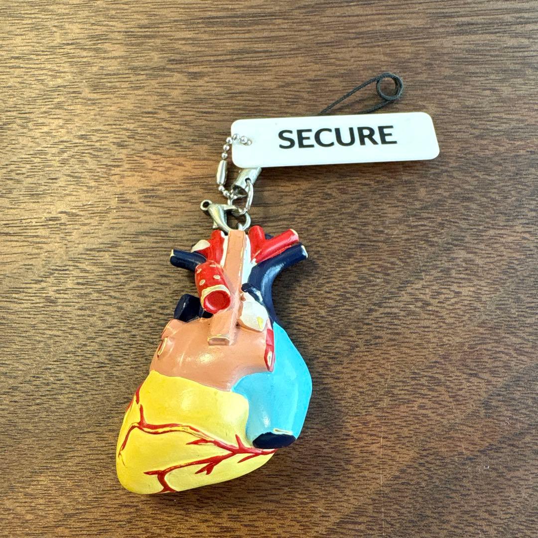 エチコン　臓器ストラップ