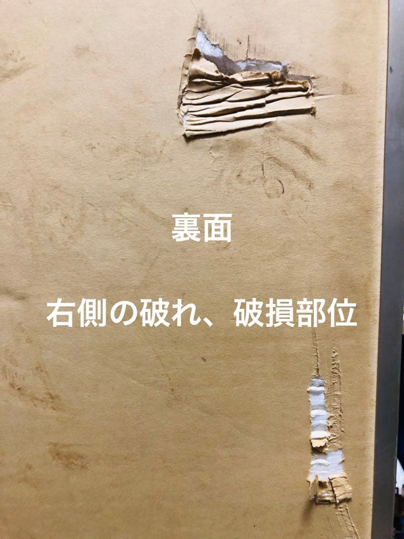 希少！ハワイの女神アグネス・ラム　パネル　トヨタスプリンター　1976年ブレイク