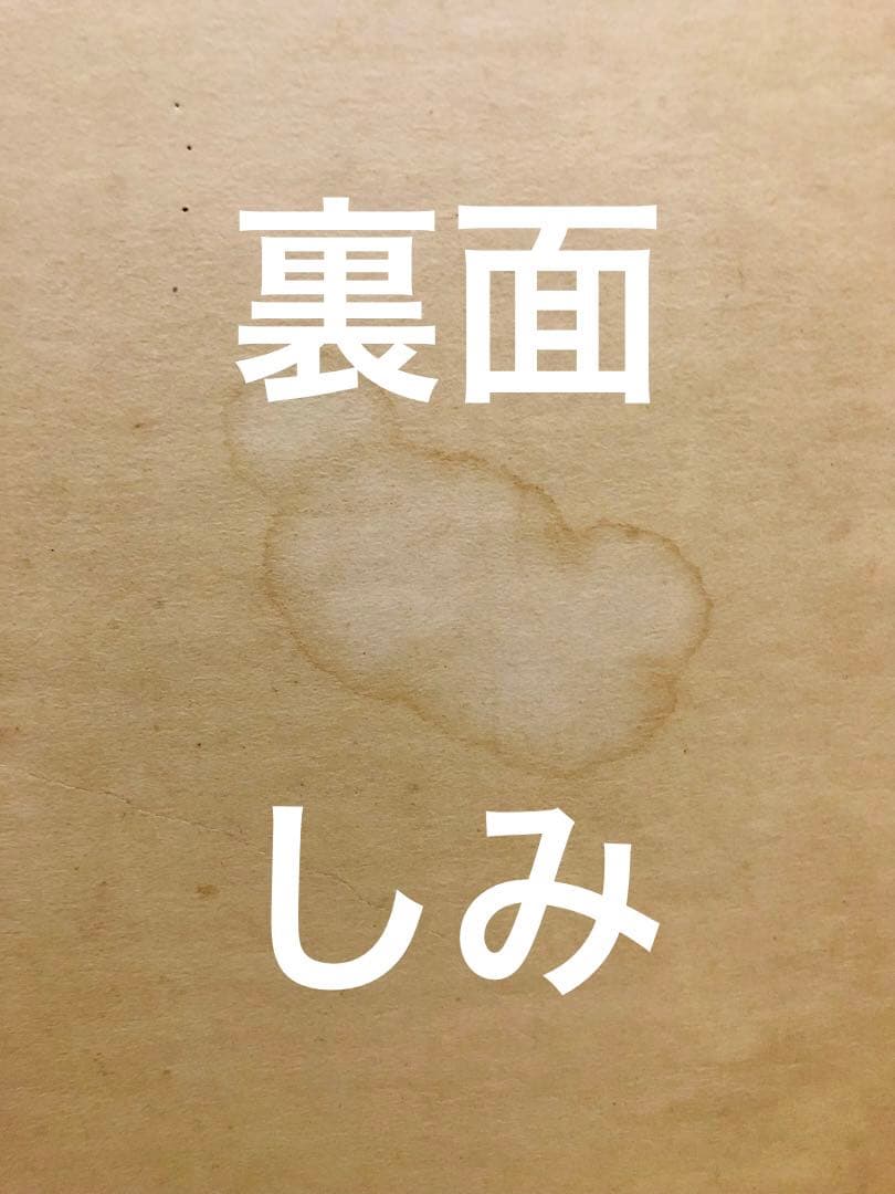 希少！ハワイの女神アグネス・ラム　パネル　トヨタスプリンター　1976年ブレイク