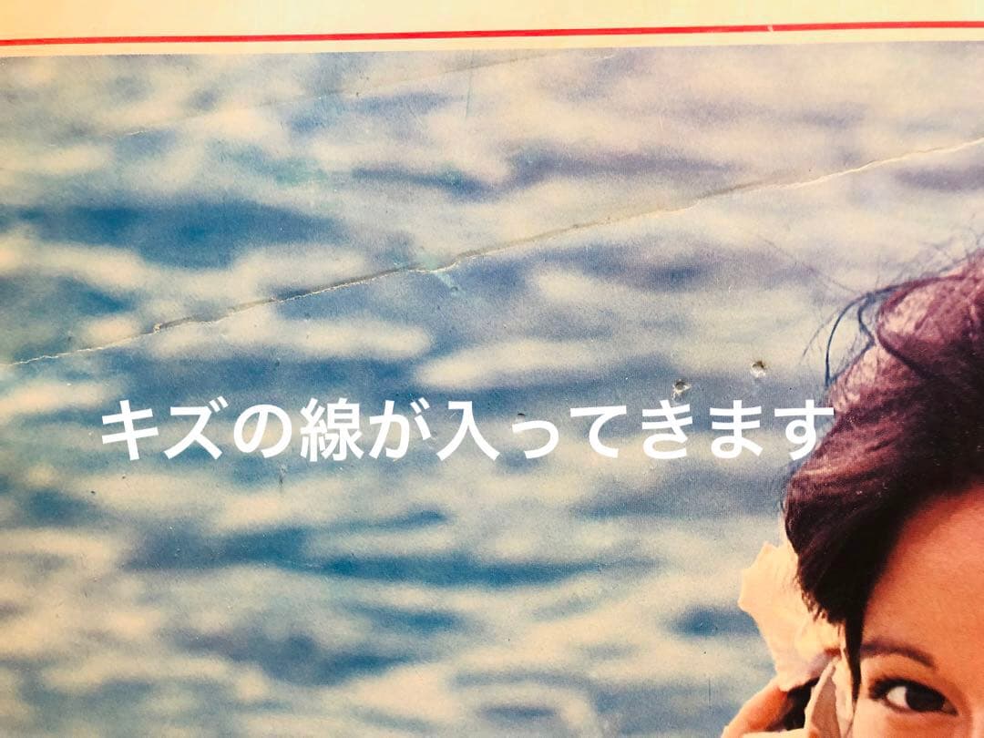 希少！ハワイの女神アグネス・ラム　パネル　トヨタスプリンター　1976年ブレイク