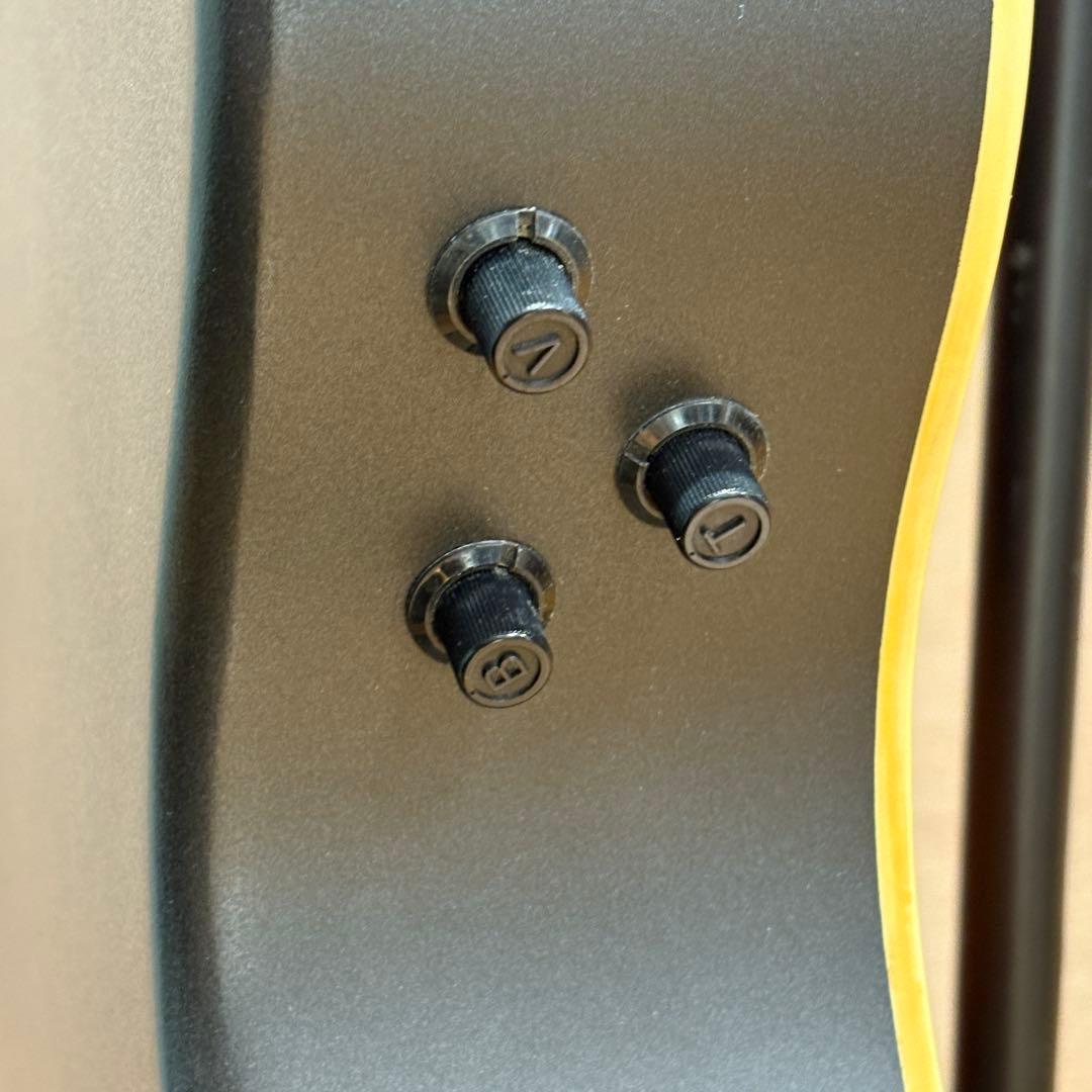 Yamaha エレアコ APX-SPL II ハードケース付属 バーズアイ