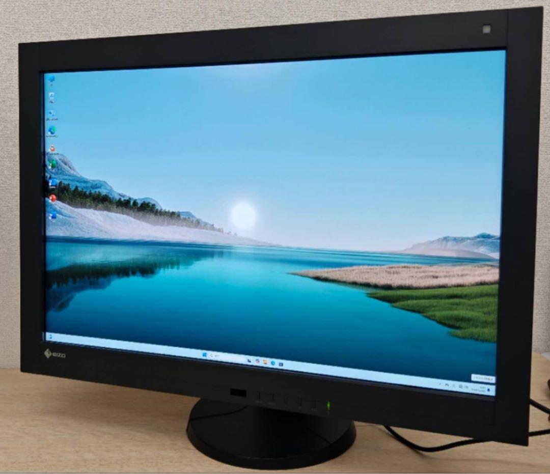 EIZO RadiForce RX440 液晶モニタ29.8 使用时间5451H