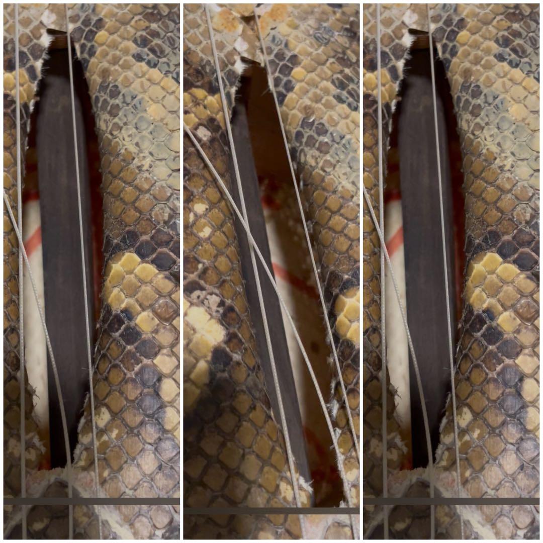 三線 ヘビ皮 2本　ケース付き　難あり