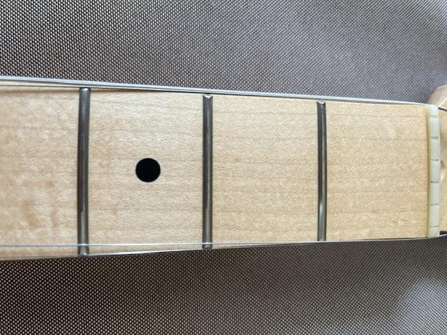 FUJIGEN J-Standard JST-5M ストラトキャスターモデル