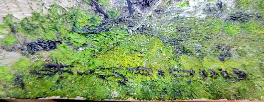 尾身周三作 山家春陽　田舎の風景 油彩画