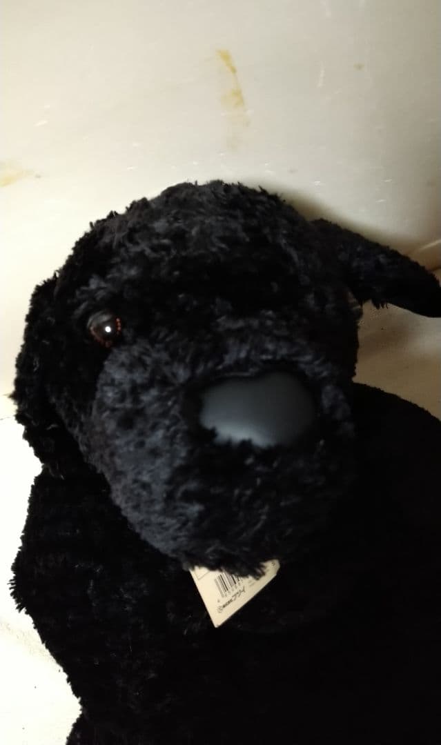 ステファンヒューネック ぬいぐるみ サリー