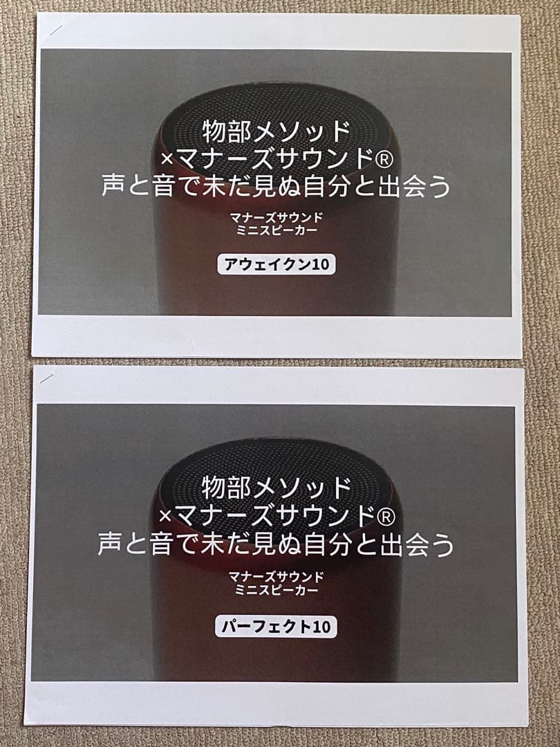 マナーズサウンド スピーカーPerfect10 Awaken10