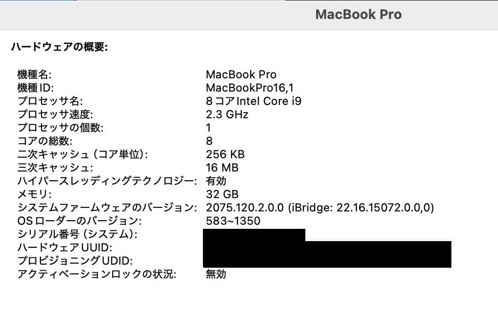 MacBook本体 MacBook Pro 16inch 8C i9 1TB 32GB