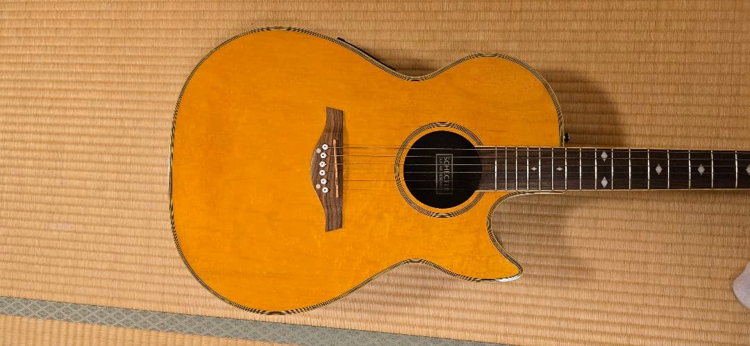 Schecterダイヤモンドシリーズ エレアコ セミハードケース付き