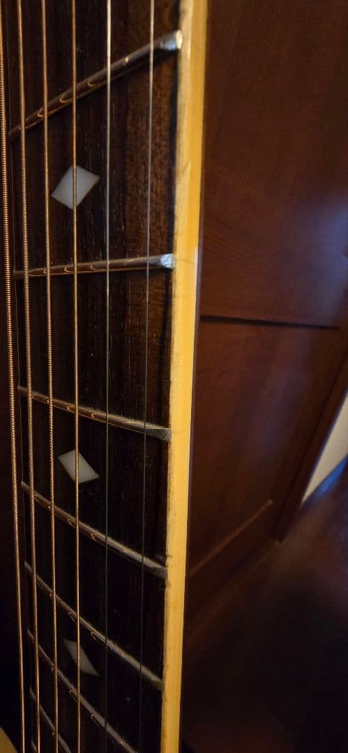 Schecterダイヤモンドシリーズ エレアコ セミハードケース付き