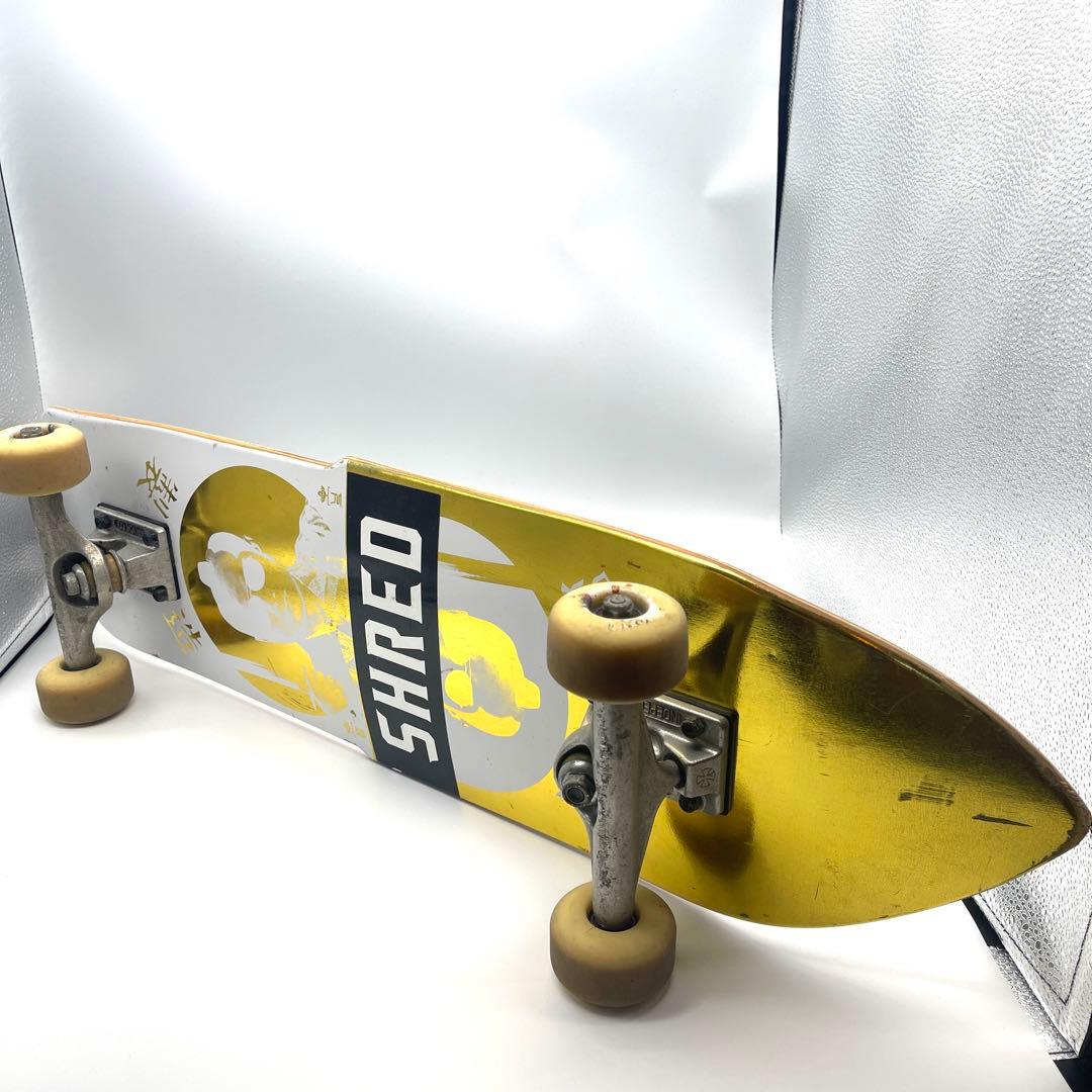 EVISEN クルーザー　8inch