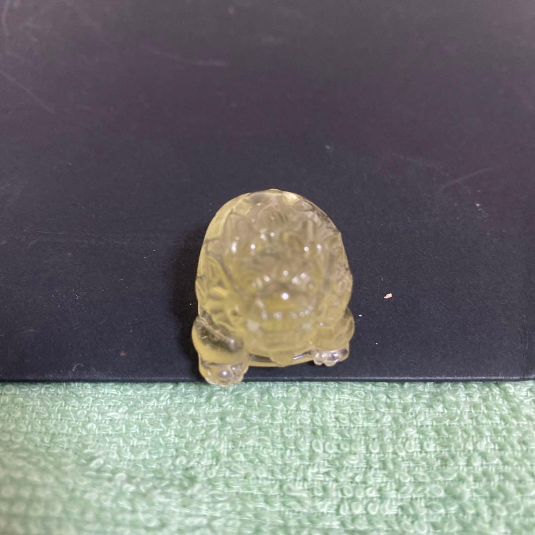 リビアングラス　龍亀(ロングイ)