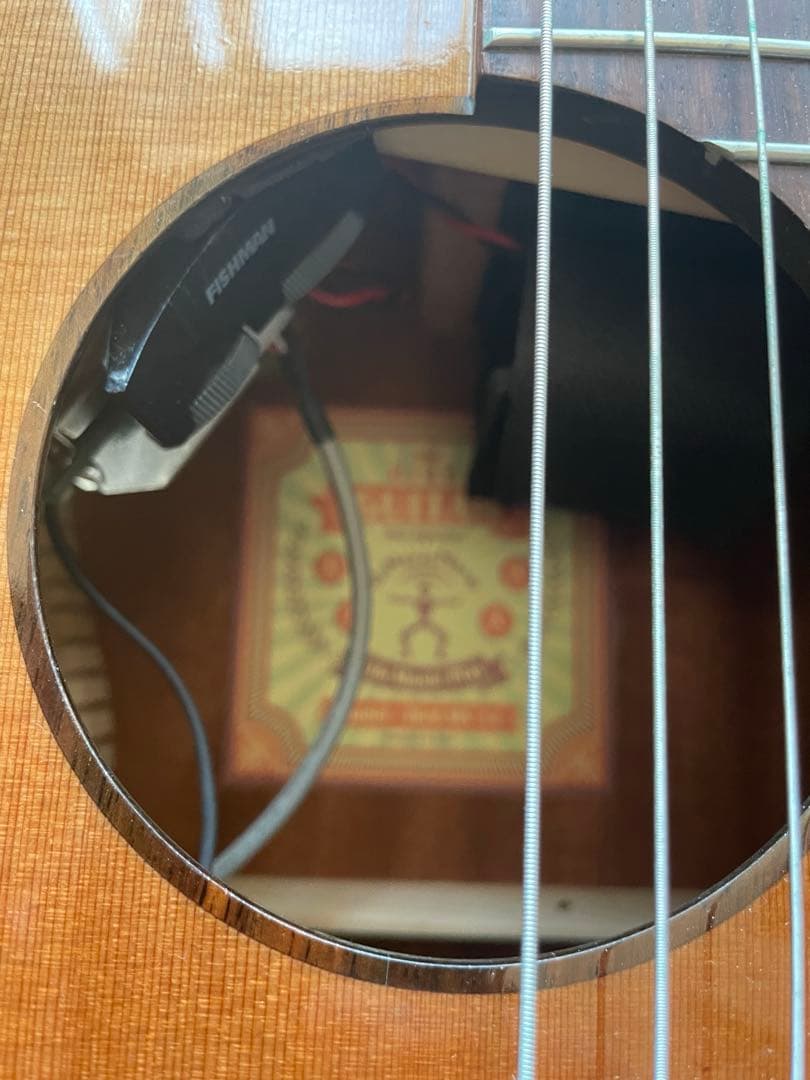 aNueNue Bird MN14E 【ミニギター】【エレガット】