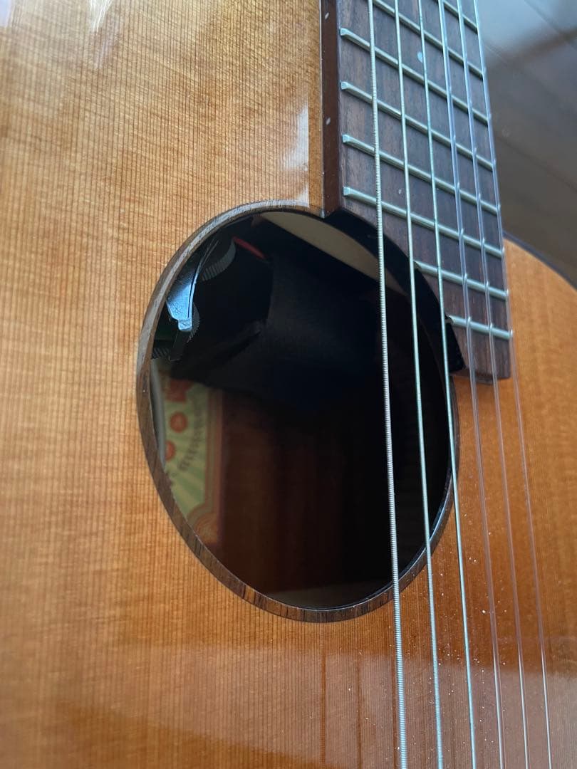 aNueNue Bird MN14E 【ミニギター】【エレガット】