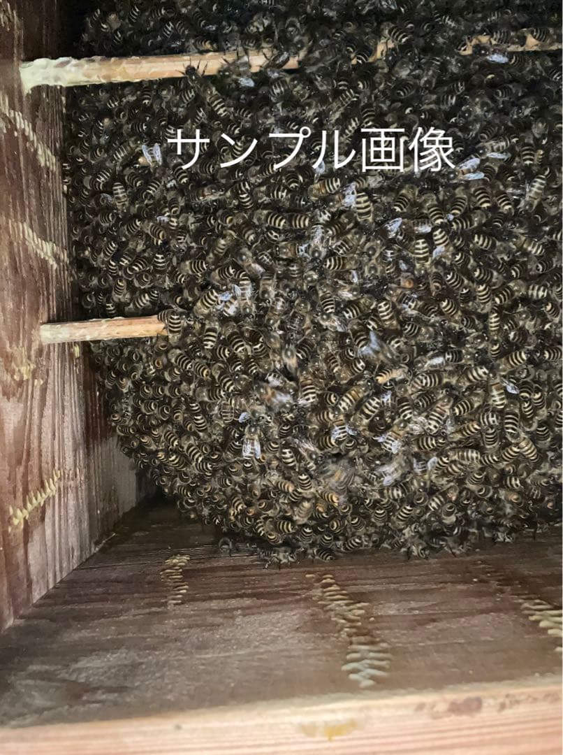 日本蜜蜂重箱式巣箱ハニーズハウス！五段セット！送料無料！