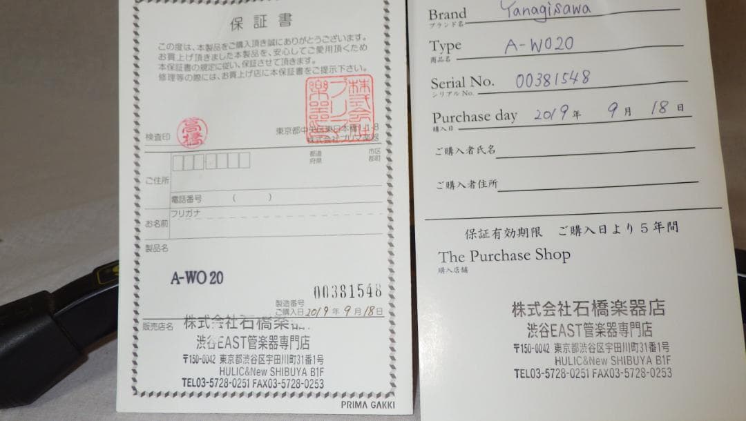 YANAGISAWA アルトサックス ヤナギサワ A-WO20