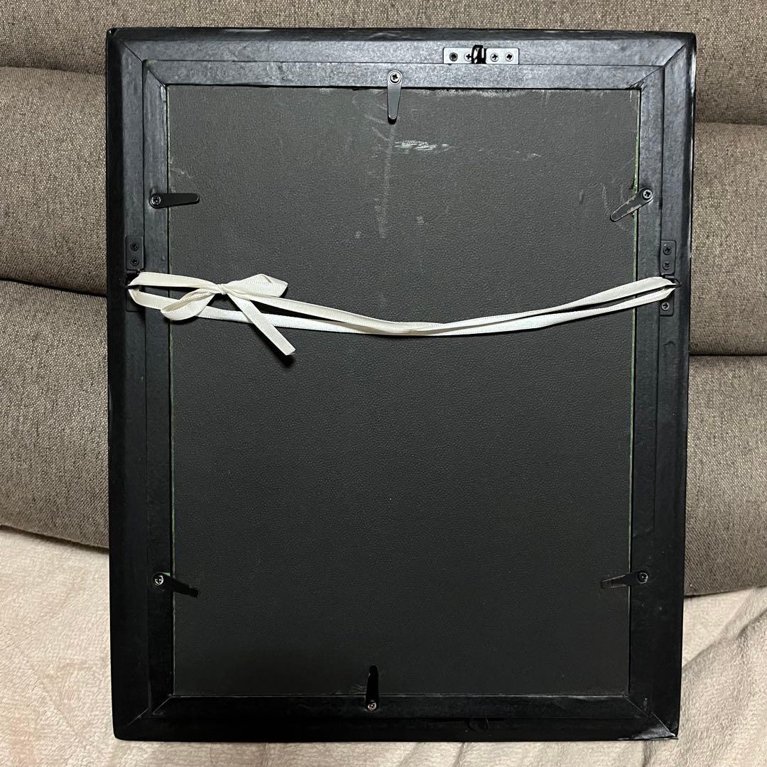 モルフォチョウ　大型個体　標本