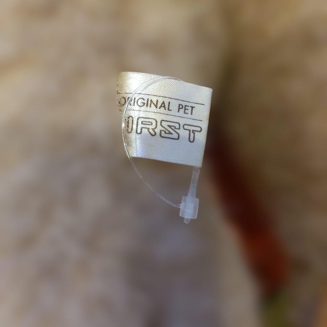 ファースト社　オリジナルペット こぐまのファンファンのうさぎ？　日本製