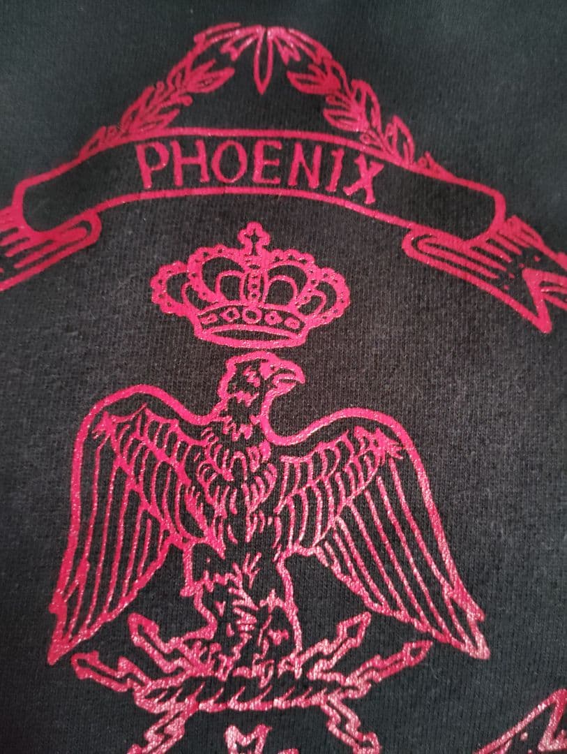 PHOENIX ロゴ刺繍 黒パーカー ヴィンテージ バンドT ダフト・パンク