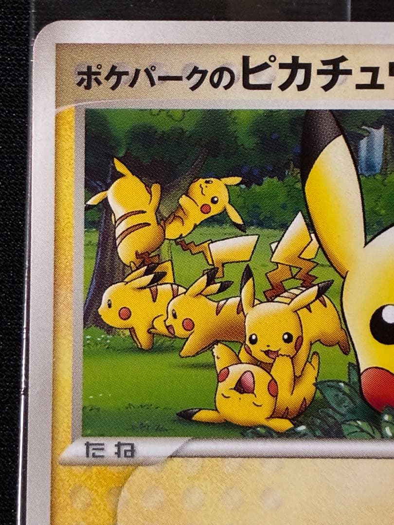 ポケパークのピカチュウ PROMO PCG-P 043/PCG-P 未開封