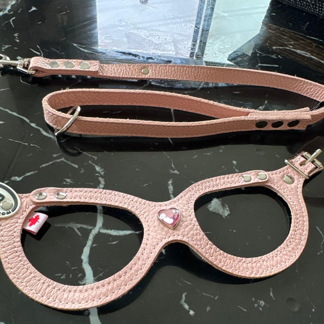 ❁ Lav ❁ バディーベルト　 ハーネスとリード ４点セット