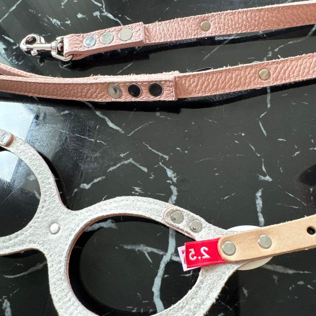 ❁ Lav ❁ バディーベルト　 ハーネスとリード ４点セット