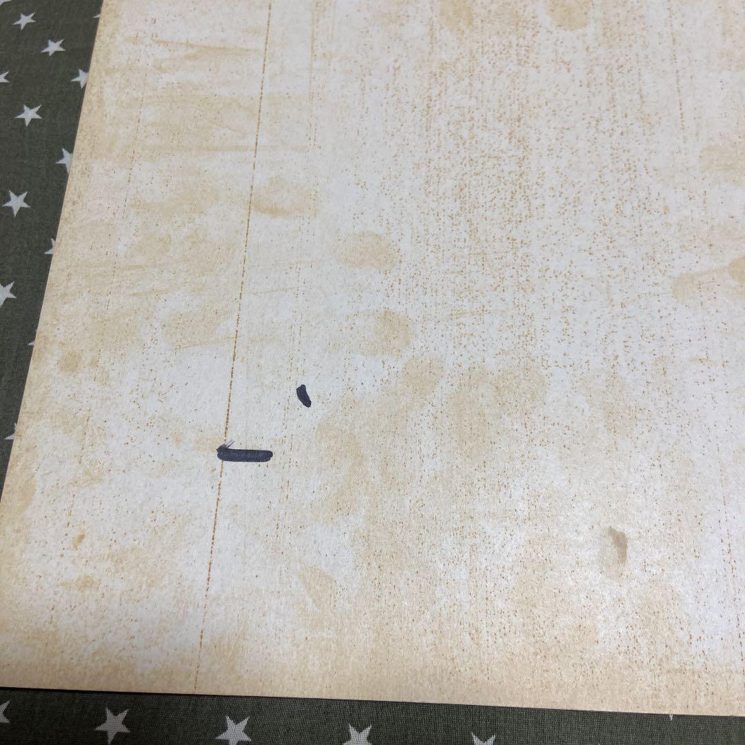 矢沢永吉　サイン色紙　貴重品