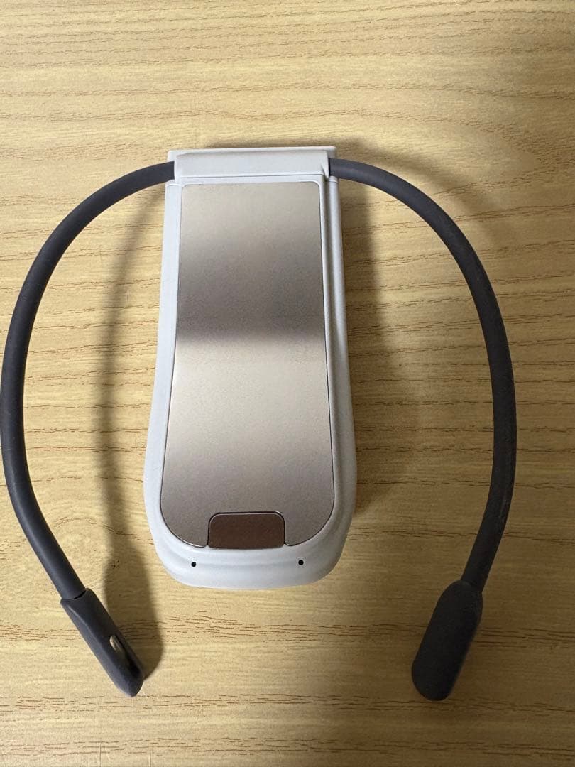 美品SONY REON POCKET PRO RNPK-P1 レオン プロ