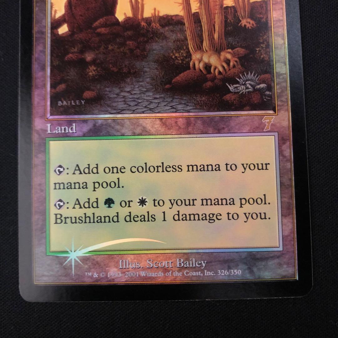 低木林地　英語　第7版　foil