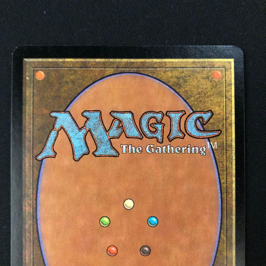 低木林地　英語　第7版　foil