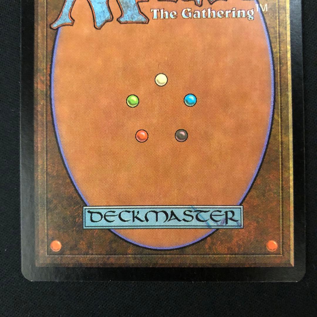 低木林地　英語　第7版　foil