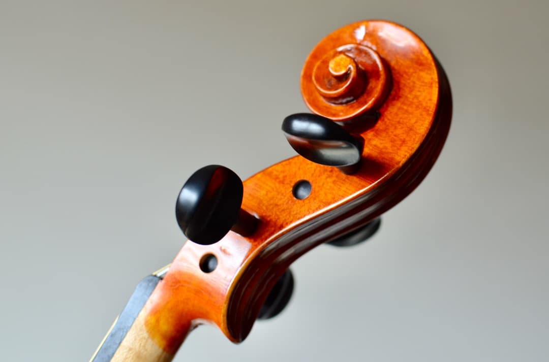 本体のみ【超美品】スズキ バイオリン No.540 4/4 2017年製