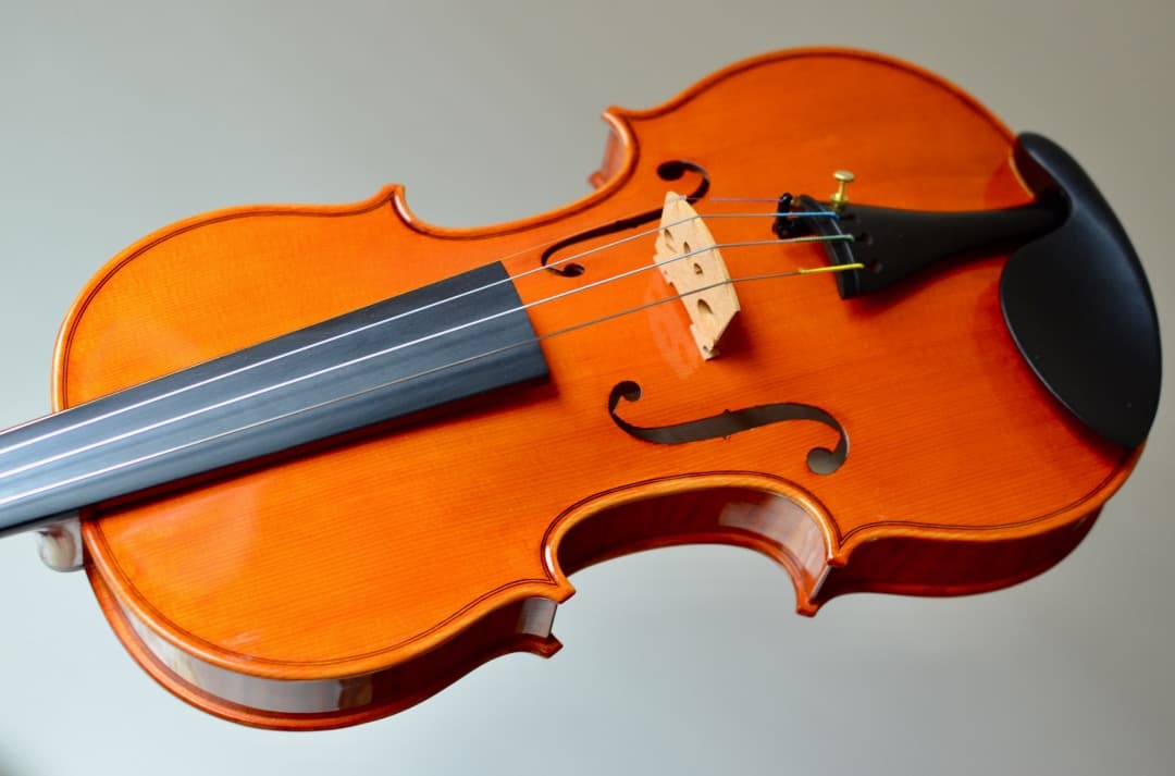 本体のみ【超美品】スズキ バイオリン No.540 4/4 2017年製